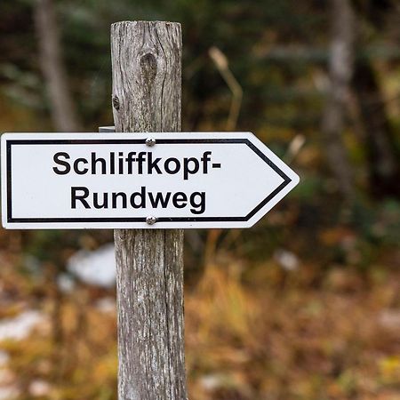 Wellness-& Nationapark Hotel Schliffkopf, Bwsc バイアースブロン エクステリア 写真