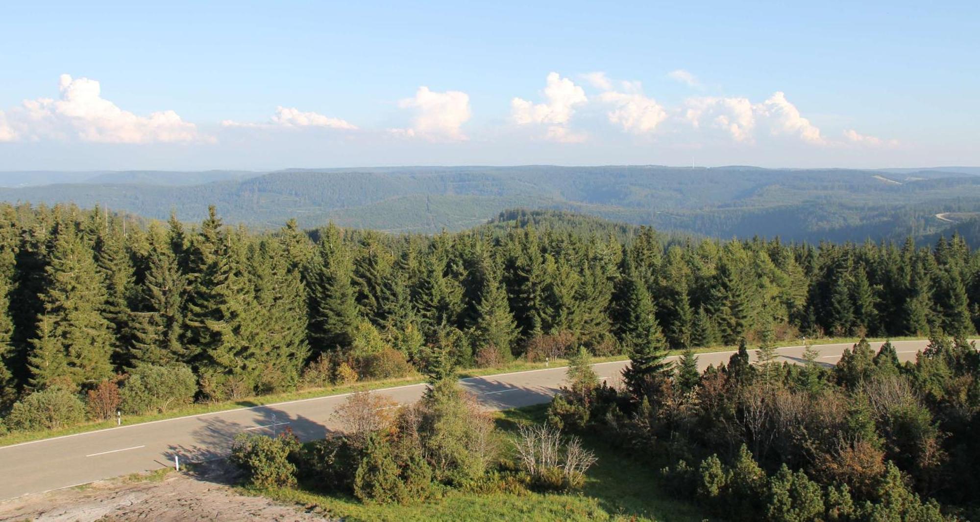Wellness-& Nationapark Hotel Schliffkopf, Bwsc バイアースブロン エクステリア 写真